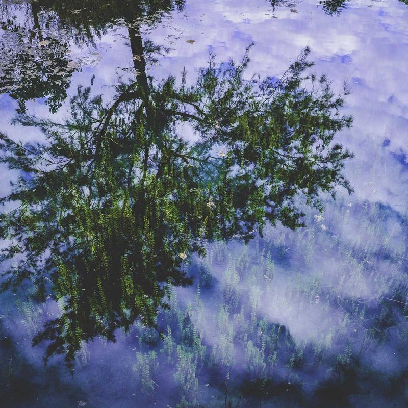 Soft light falling over a place of stillness